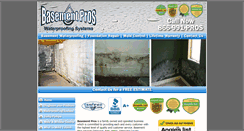 Desktop Screenshot of basementpros.net